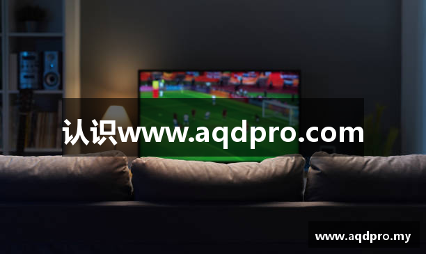 认识www.aqdpro.com